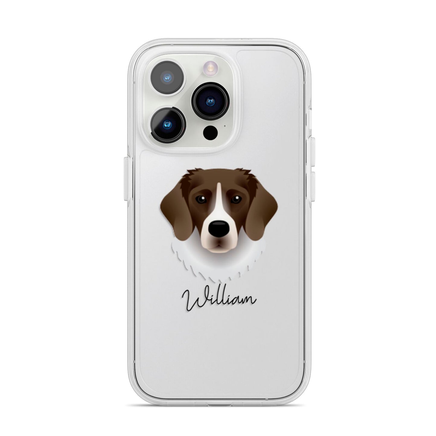 Stabyhoun Personalised iPhone 14 Pro Clear Tough Case Silver