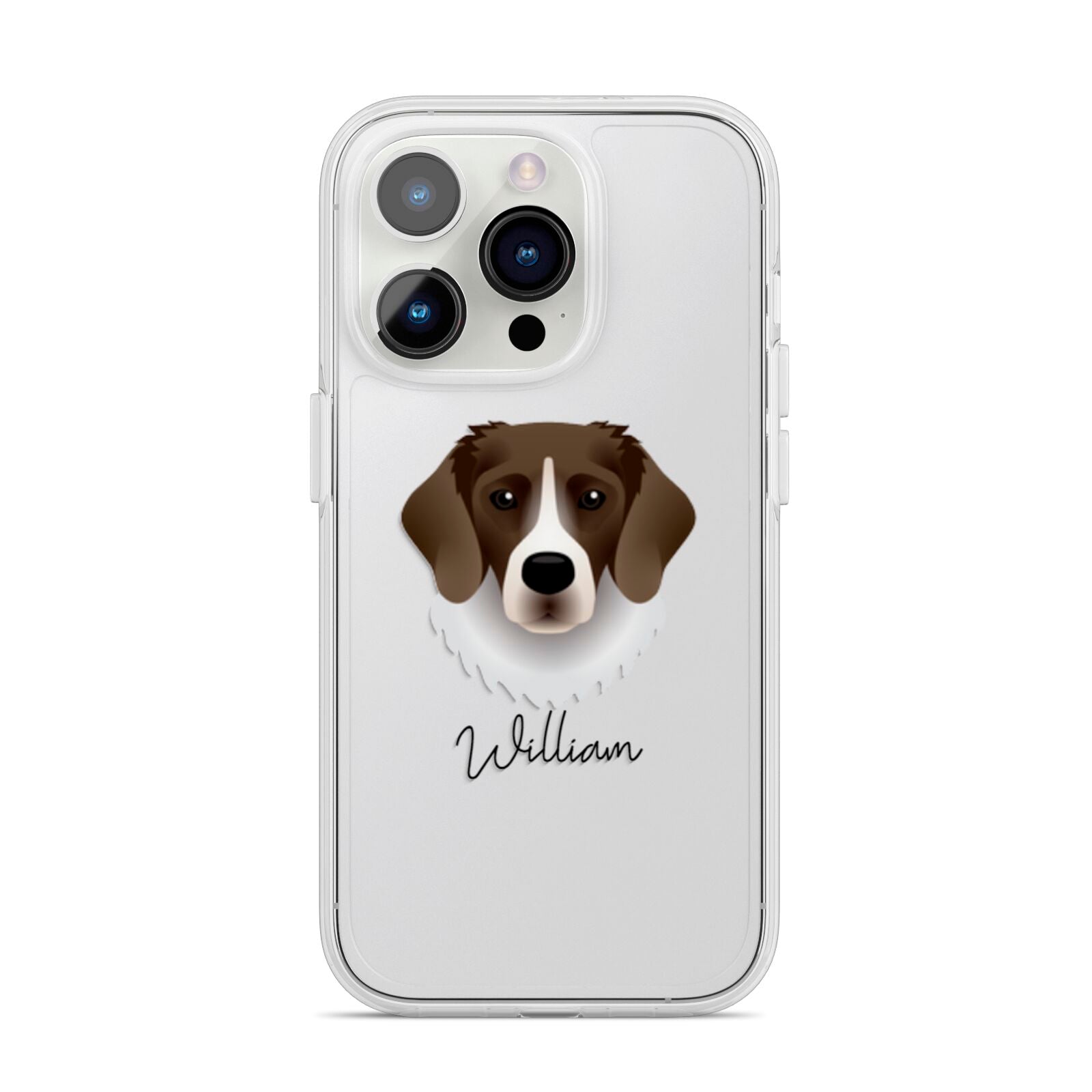 Stabyhoun Personalised iPhone 14 Pro Clear Tough Case Silver