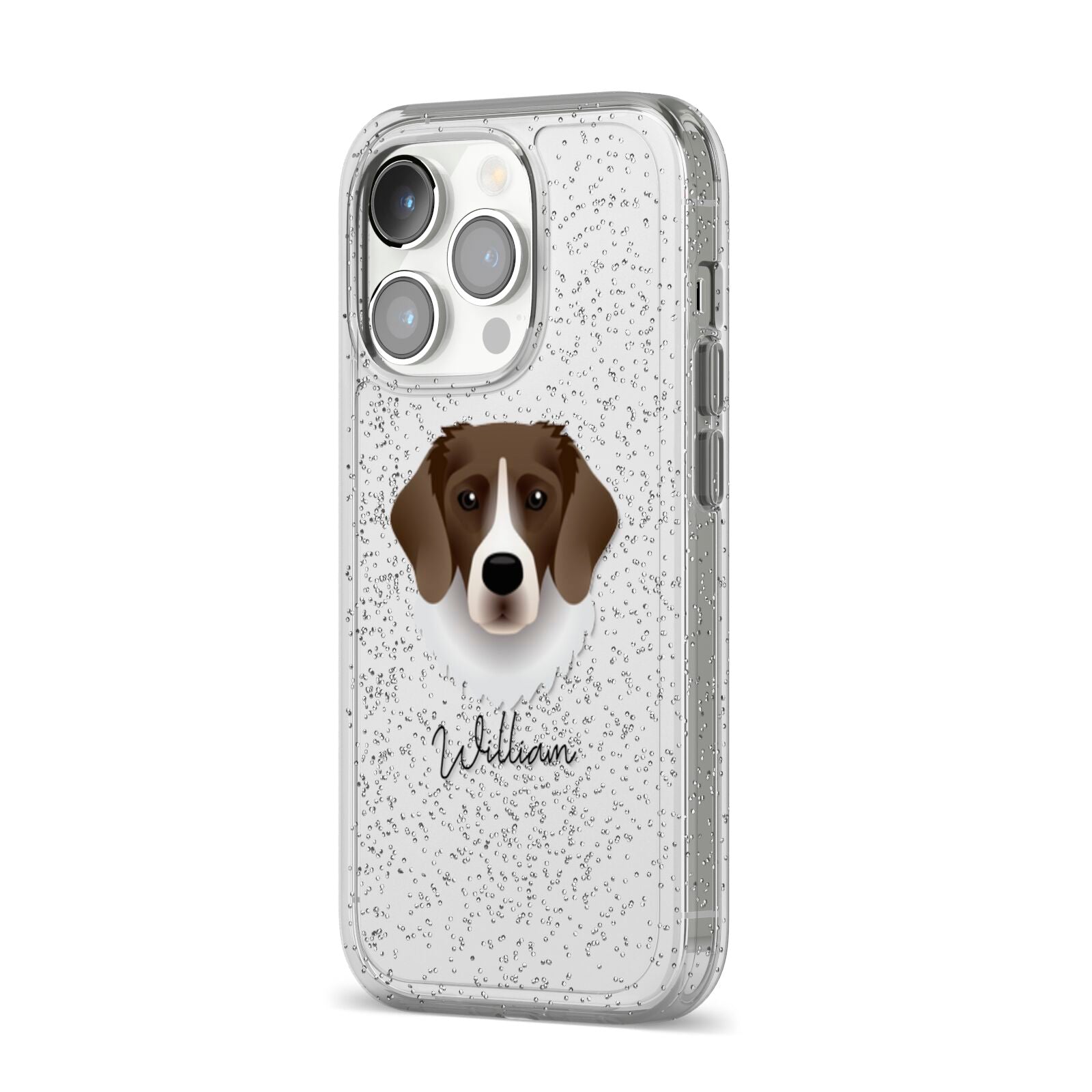Stabyhoun Personalised iPhone 14 Pro Glitter Tough Case Silver Angled Image