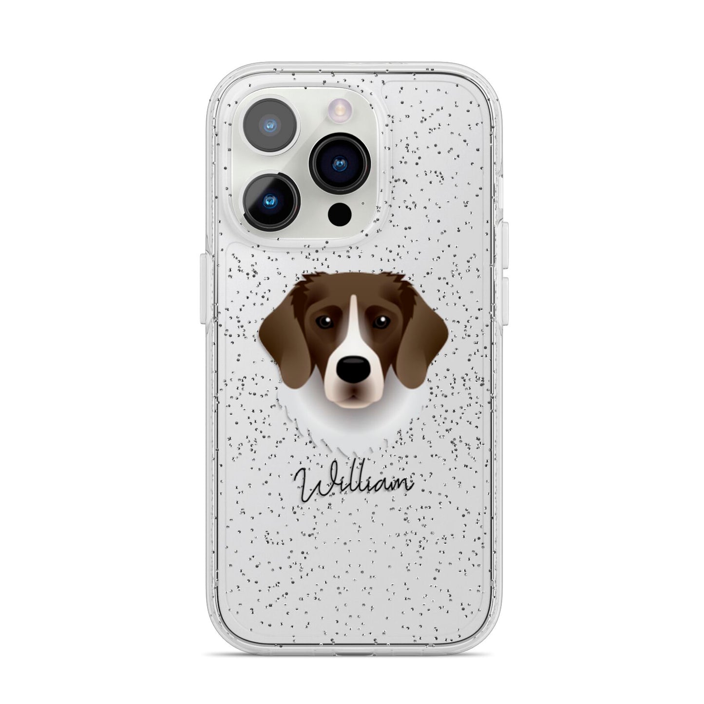 Stabyhoun Personalised iPhone 14 Pro Glitter Tough Case Silver