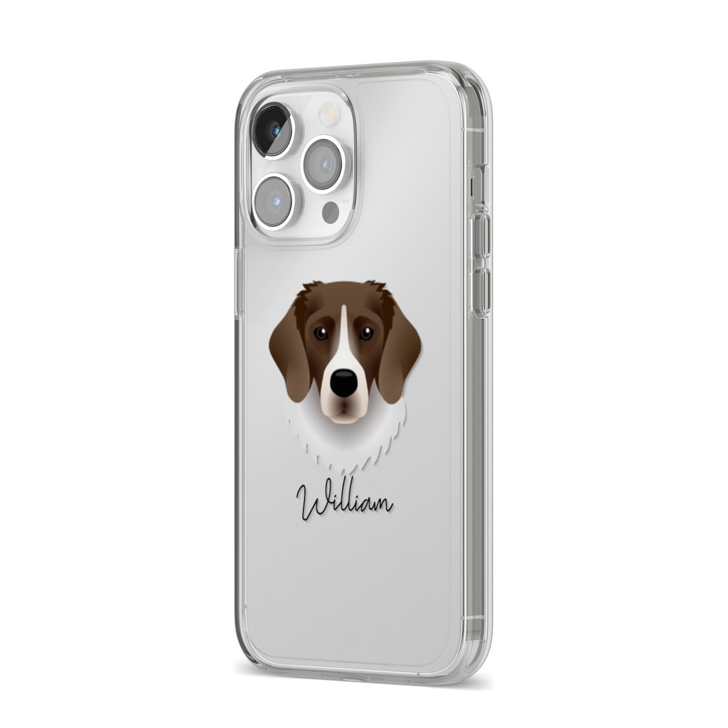 Stabyhoun Personalised iPhone 14 Pro Max Clear Tough Case Silver Angled Image