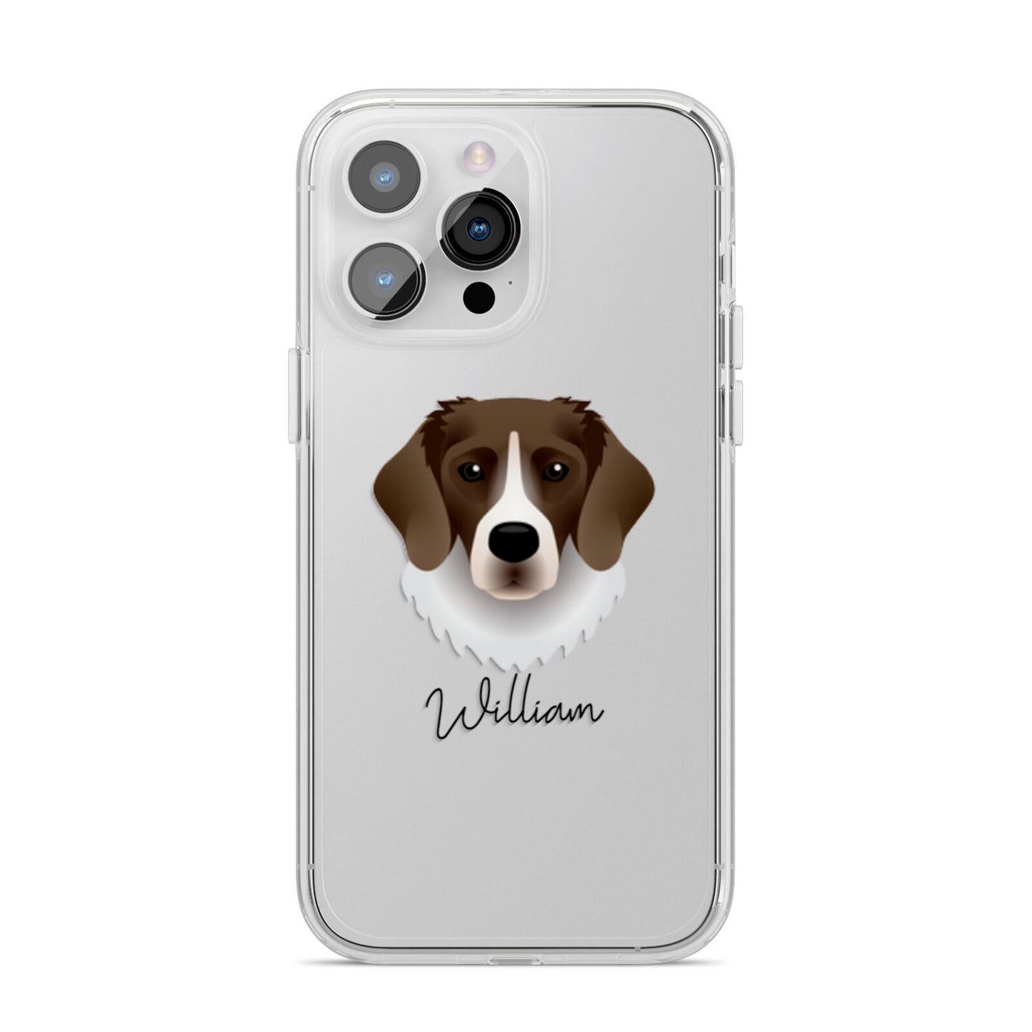 Stabyhoun Personalised iPhone 14 Pro Max Clear Tough Case Silver
