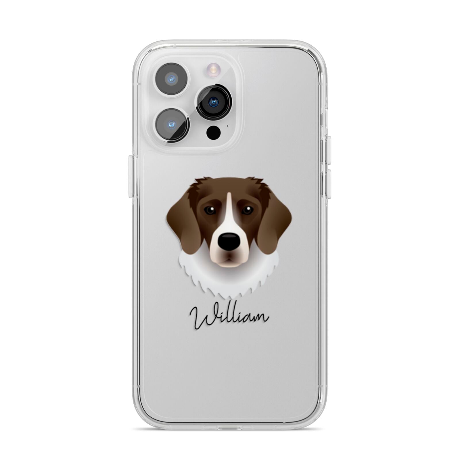 Stabyhoun Personalised iPhone 14 Pro Max Clear Tough Case Silver