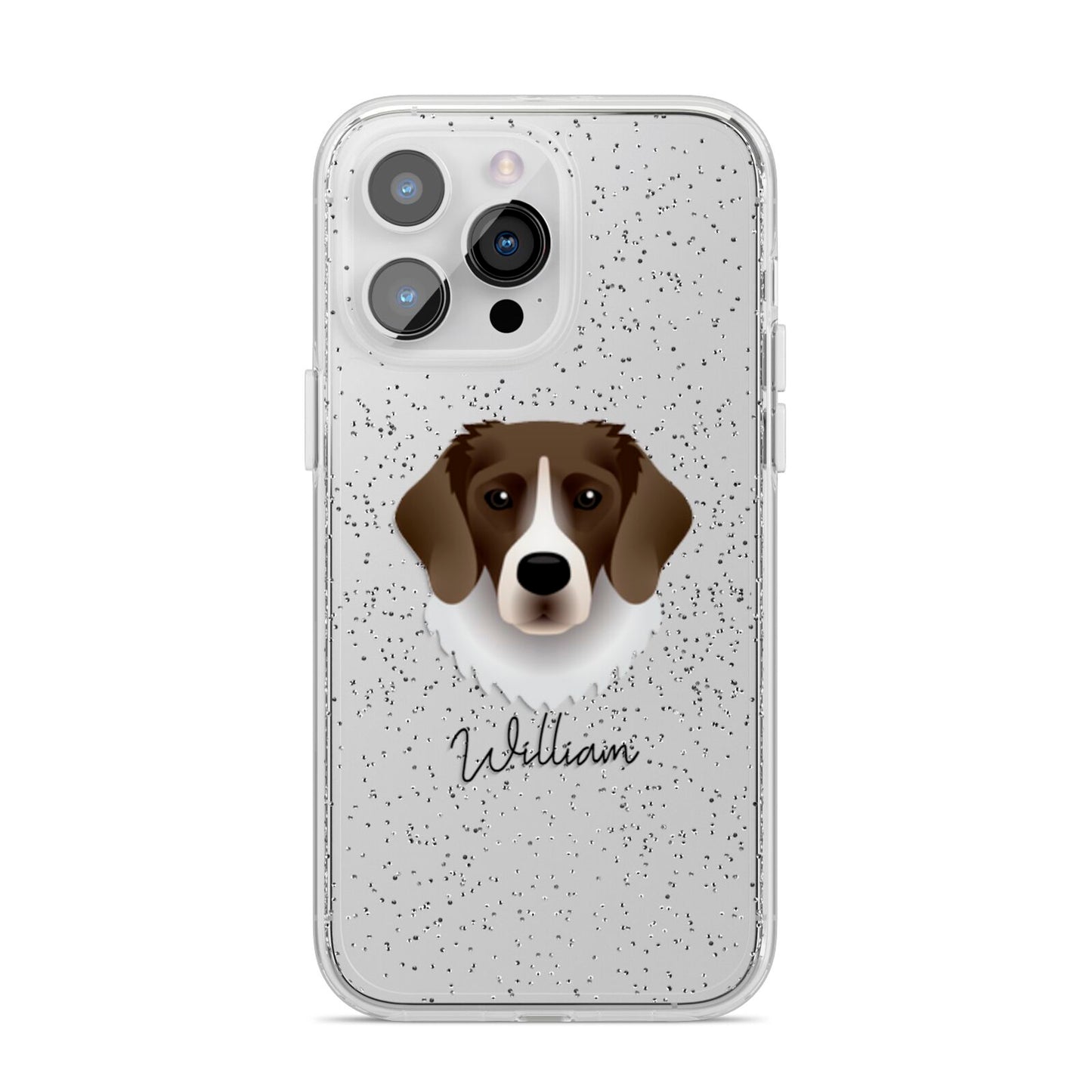 Stabyhoun Personalised iPhone 14 Pro Max Glitter Tough Case Silver