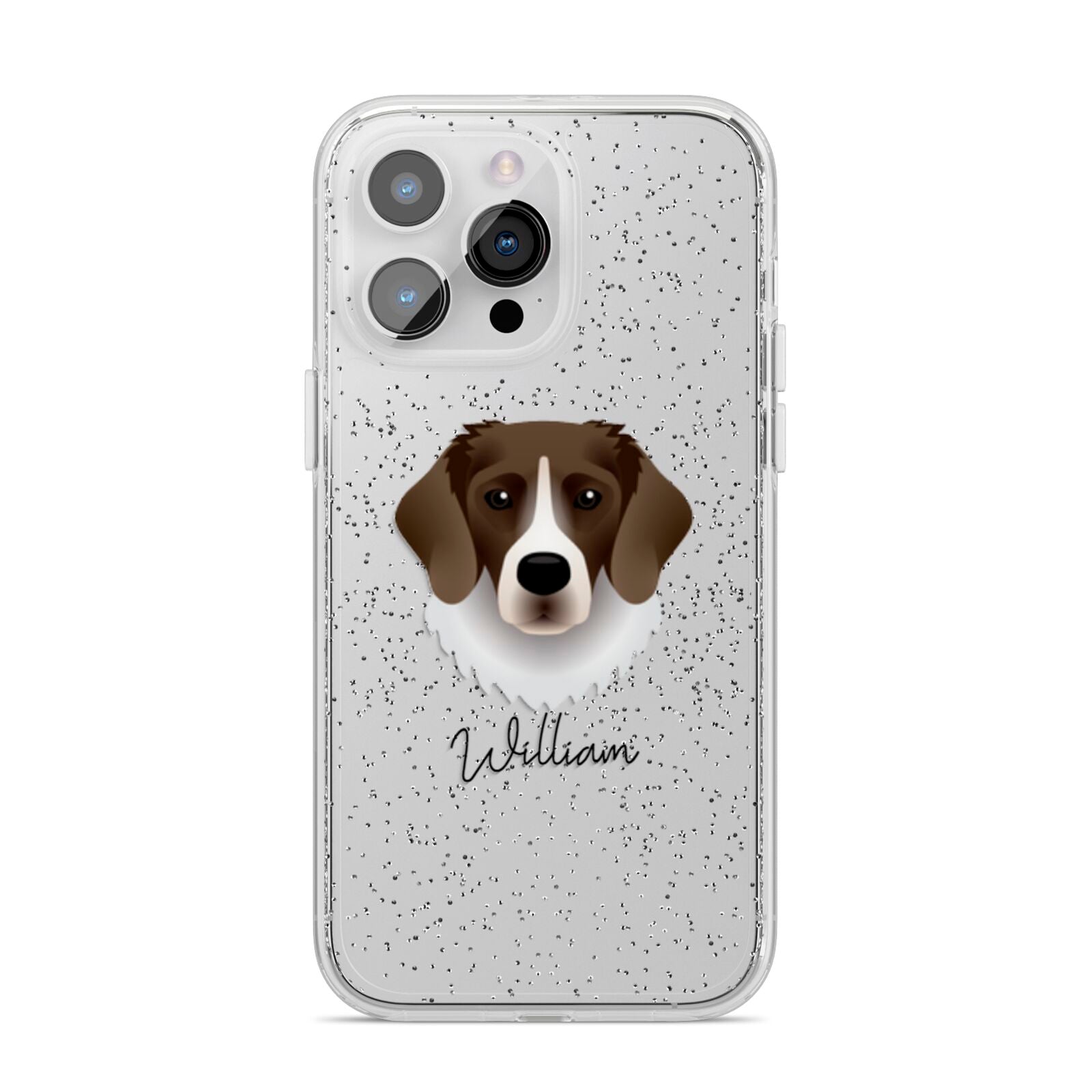 Stabyhoun Personalised iPhone 14 Pro Max Glitter Tough Case Silver