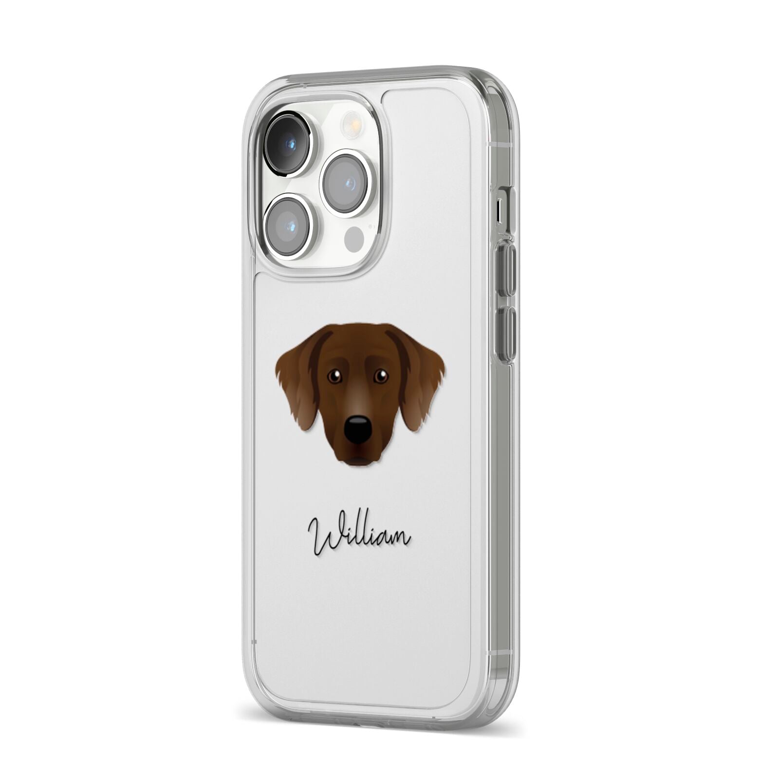 Staffador Personalised iPhone 14 Pro Clear Tough Case Silver Angled Image
