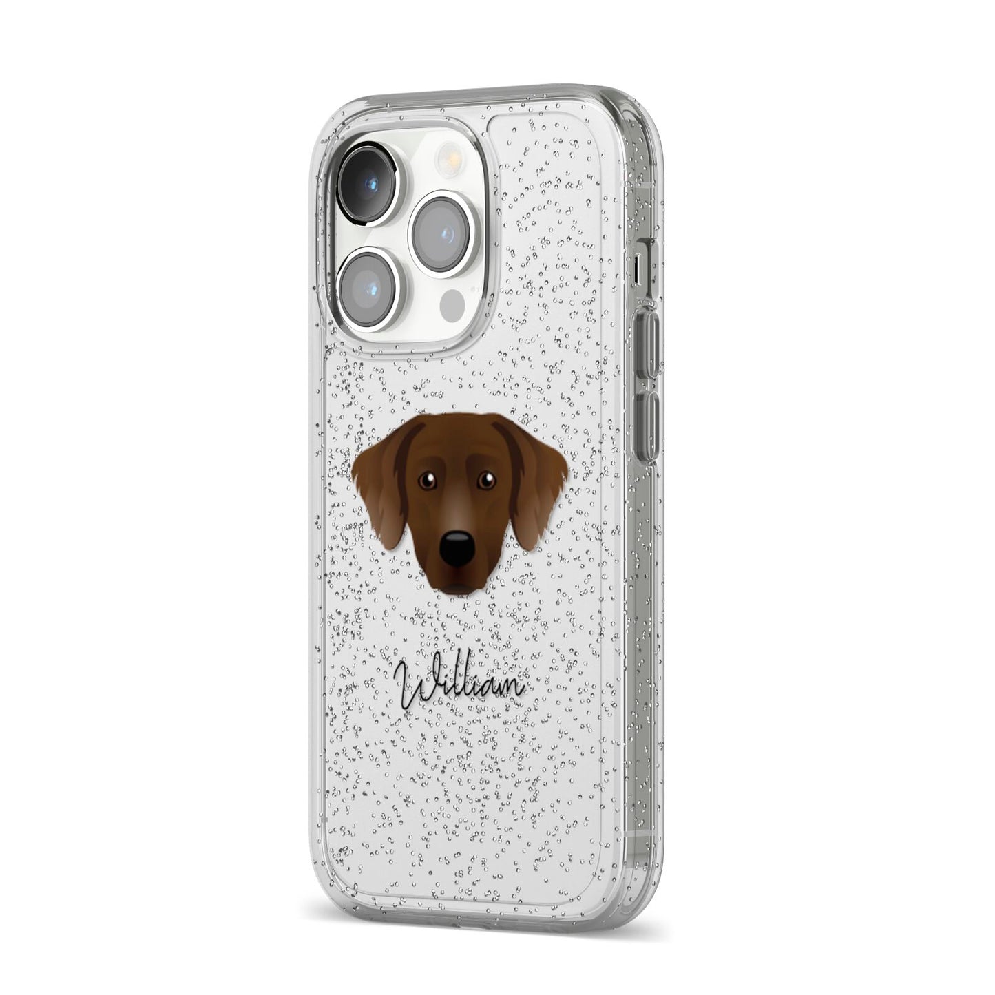 Staffador Personalised iPhone 14 Pro Glitter Tough Case Silver Angled Image