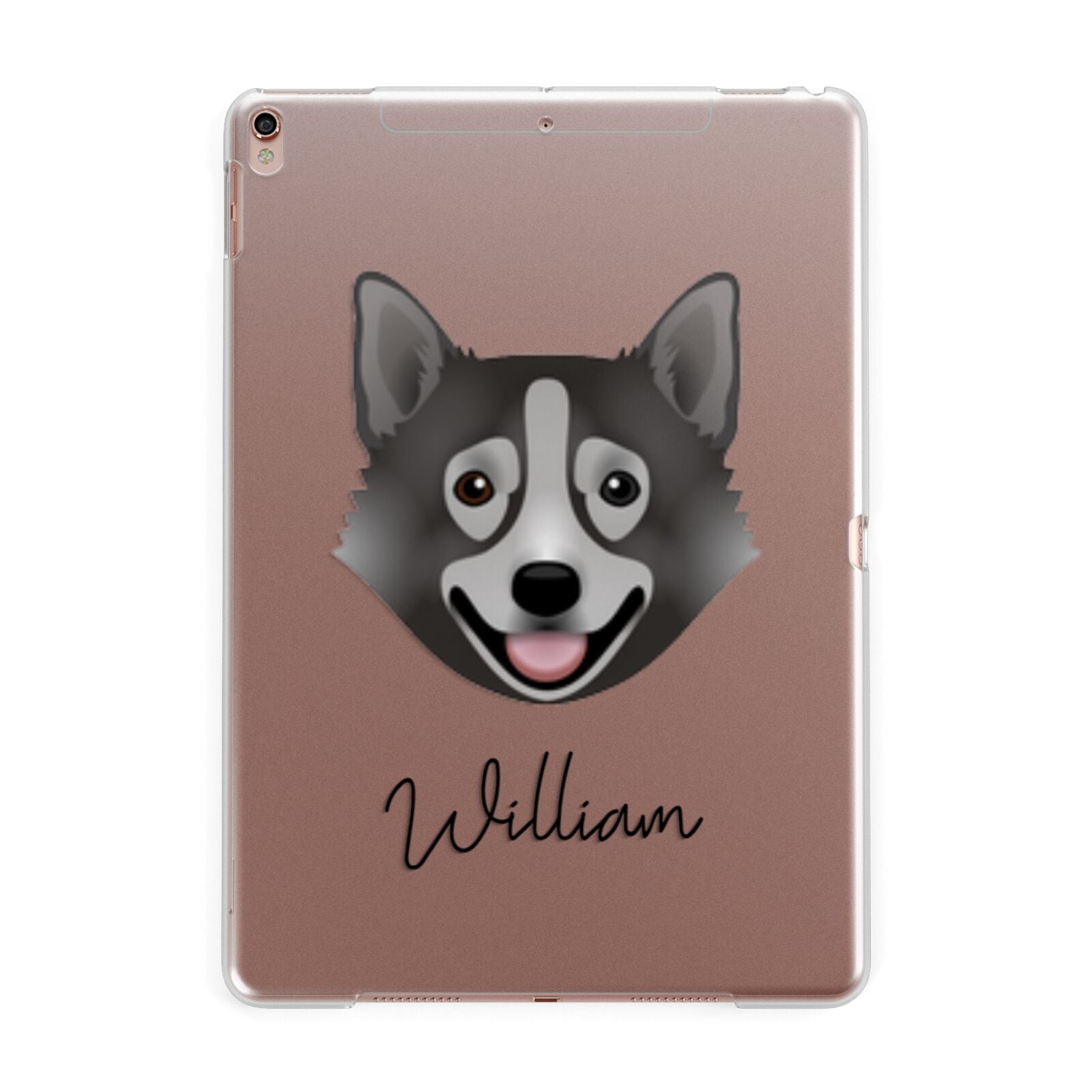 Swedish Vallhund Personalised Apple iPad Rose Gold Case
