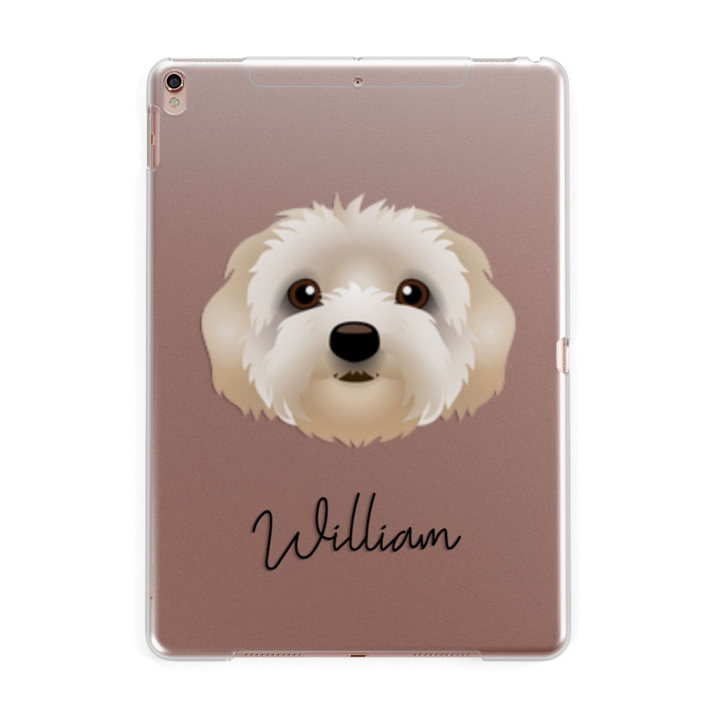 Terri Poo Personalised Apple iPad Rose Gold Case