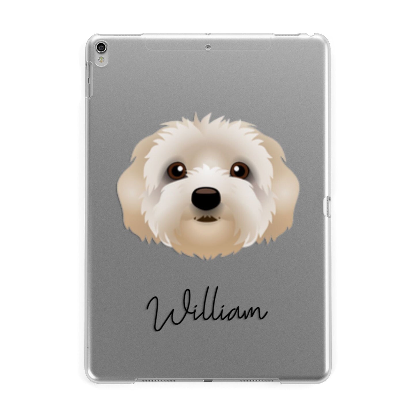 Terri Poo Personalised Apple iPad Silver Case