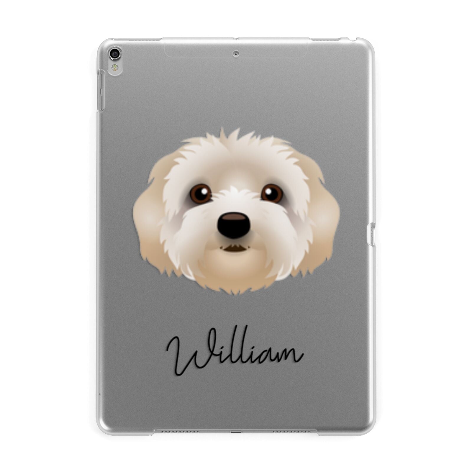 Terri Poo Personalised Apple iPad Silver Case