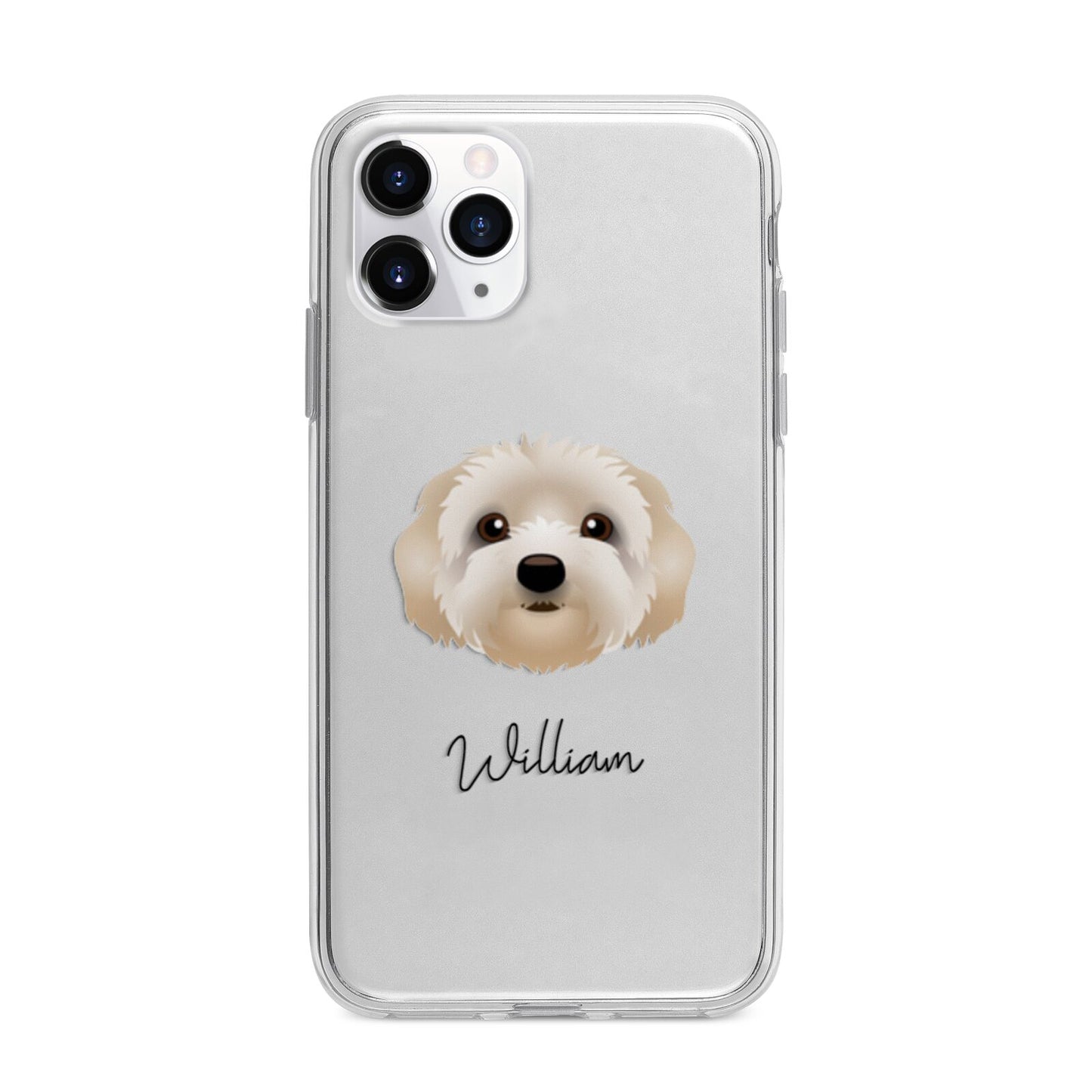 Terri Poo Personalised Apple iPhone 11 Pro in Silver with Bumper Case