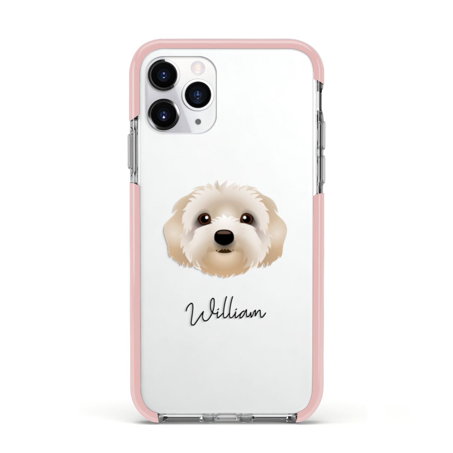 Terri Poo Personalised Apple iPhone 11 Pro in Silver with Pink Impact Case