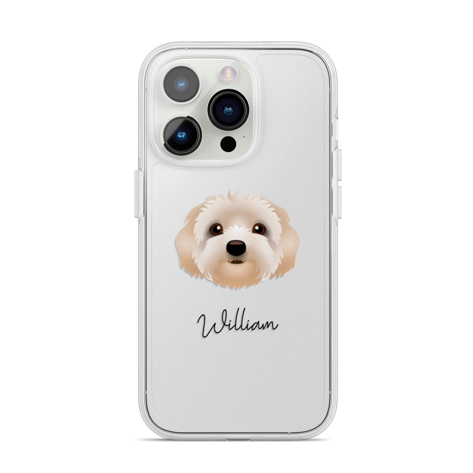 Terri Poo Personalised iPhone 14 Pro Clear Tough Case Silver