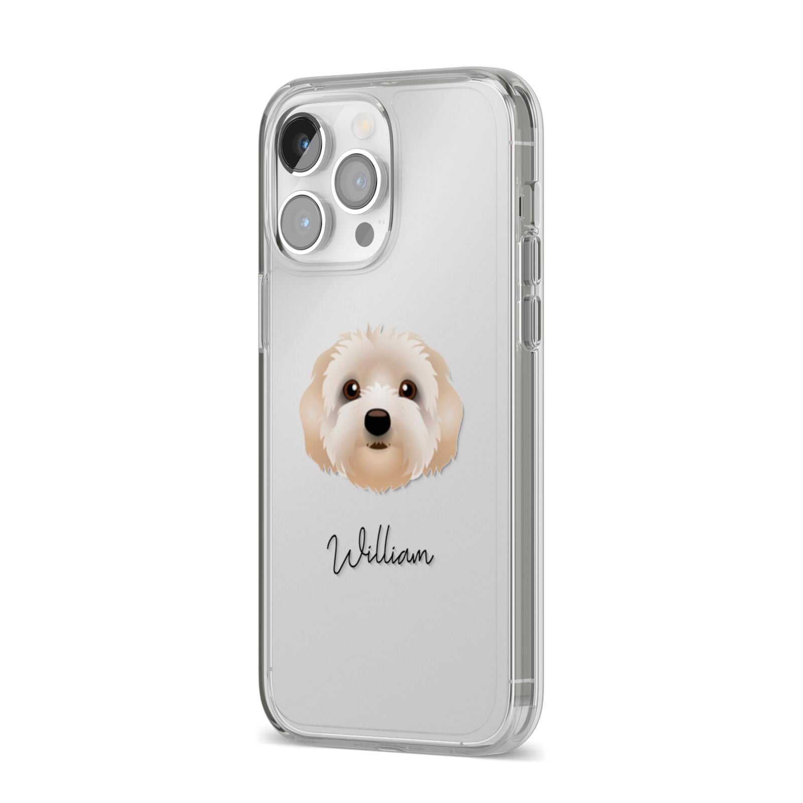 Terri Poo Personalised iPhone 14 Pro Max Clear Tough Case Silver Angled Image