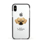 Tibetan Spaniel Personalised Apple iPhone Xs Impact Case Black Edge on Silver Phone