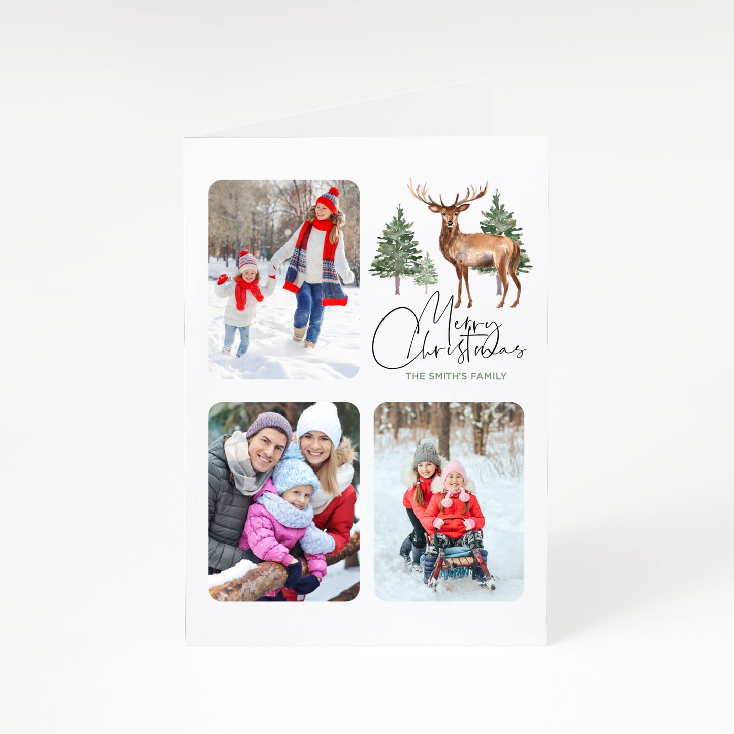 Trio of Family Photos Stag Illustration A5 Greetings Card