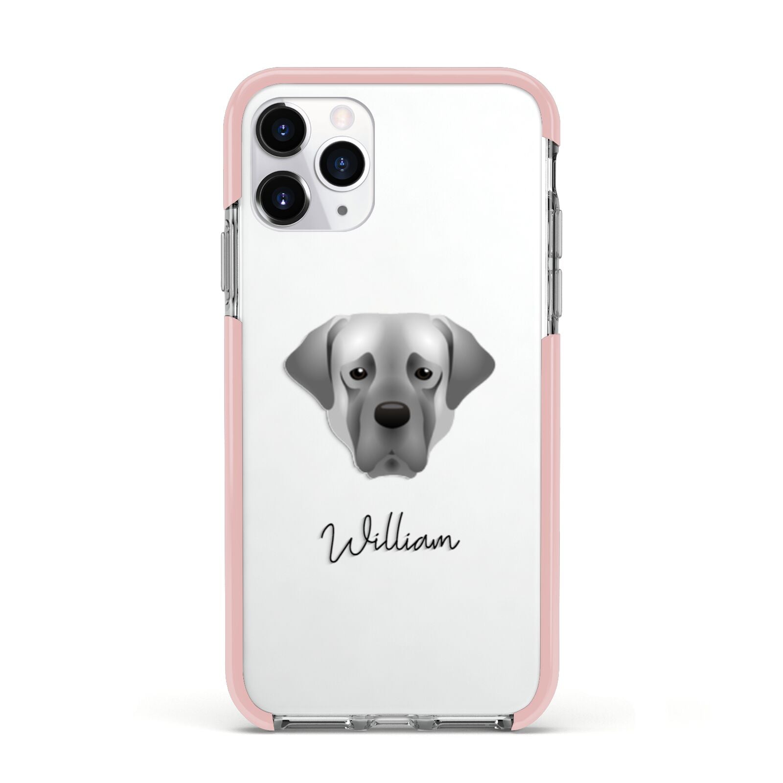 Turkish Kangal Dog Personalised Apple iPhone 11 Pro in Silver with Pink Impact Case