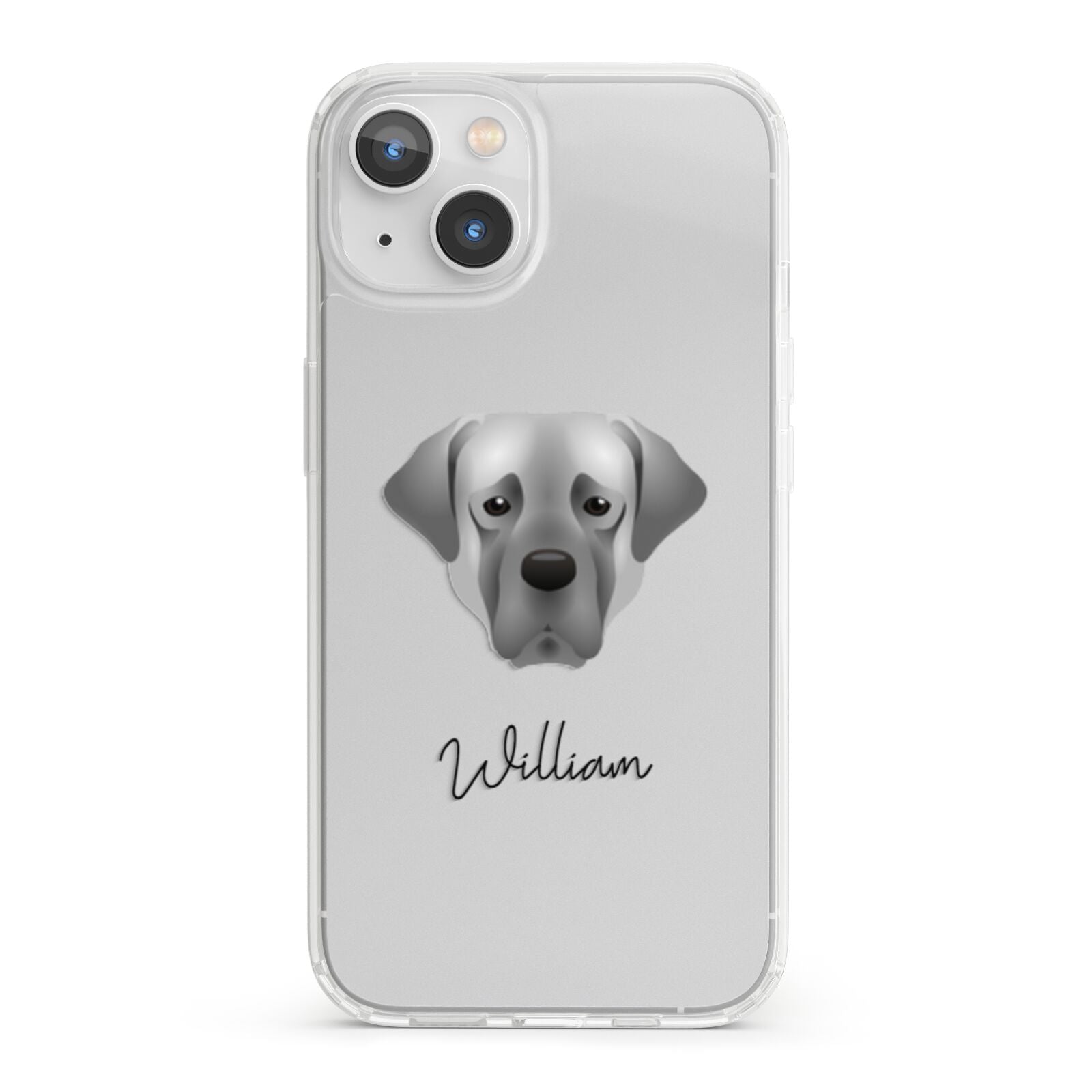 Turkish Kangal Dog Personalised iPhone 13 Clear Bumper Case