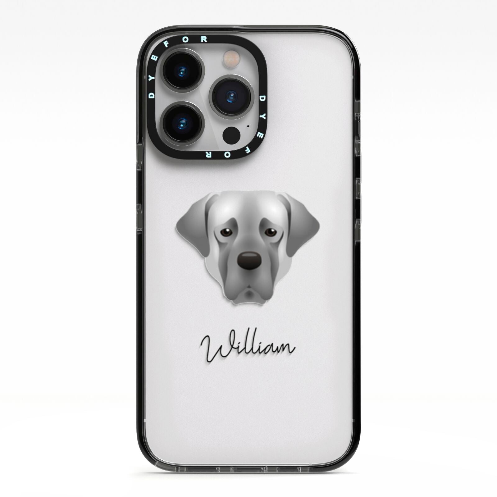 Turkish Kangal Dog Personalised iPhone 13 Pro Black Impact Case on Silver phone