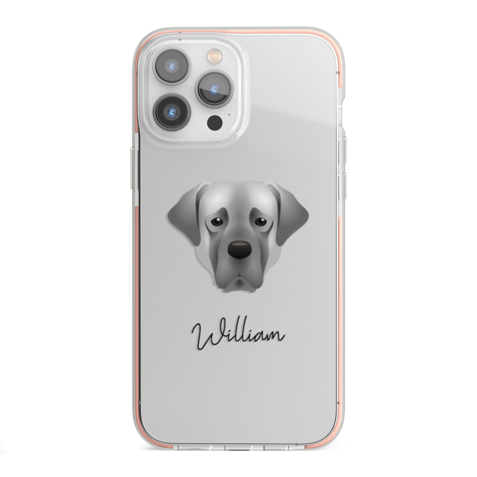 Turkish Kangal Dog Personalised iPhone 13 Pro Max TPU Impact Case with Pink Edges