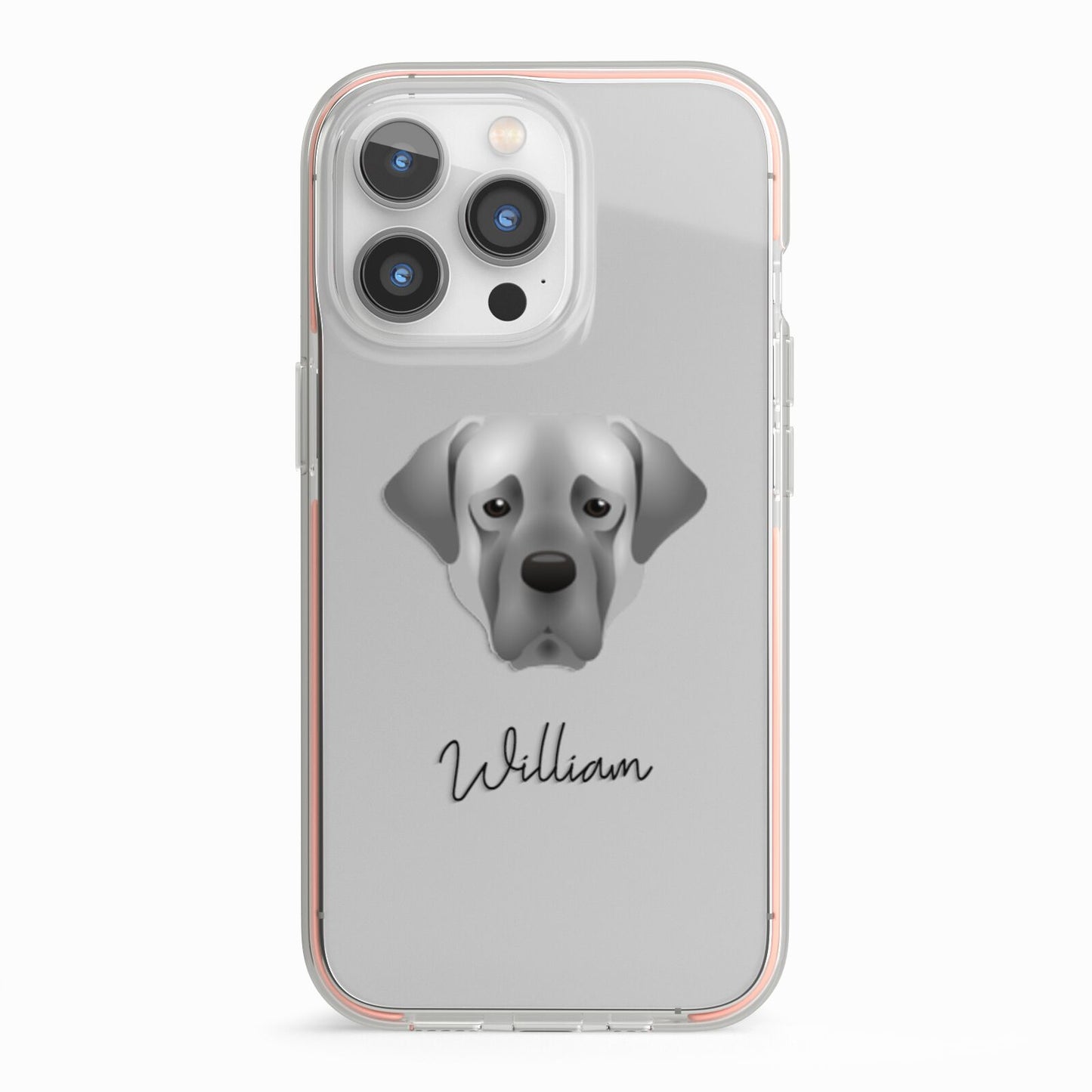 Turkish Kangal Dog Personalised iPhone 13 Pro TPU Impact Case with Pink Edges