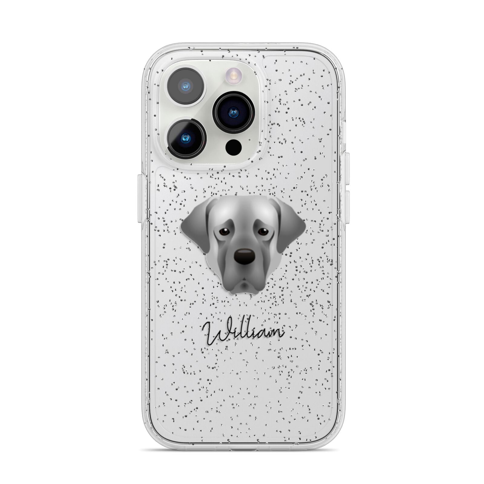 Turkish Kangal Dog Personalised iPhone 14 Pro Glitter Tough Case Silver