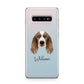 Welsh Springer Spaniel Personalised Samsung Galaxy S10 Plus Case