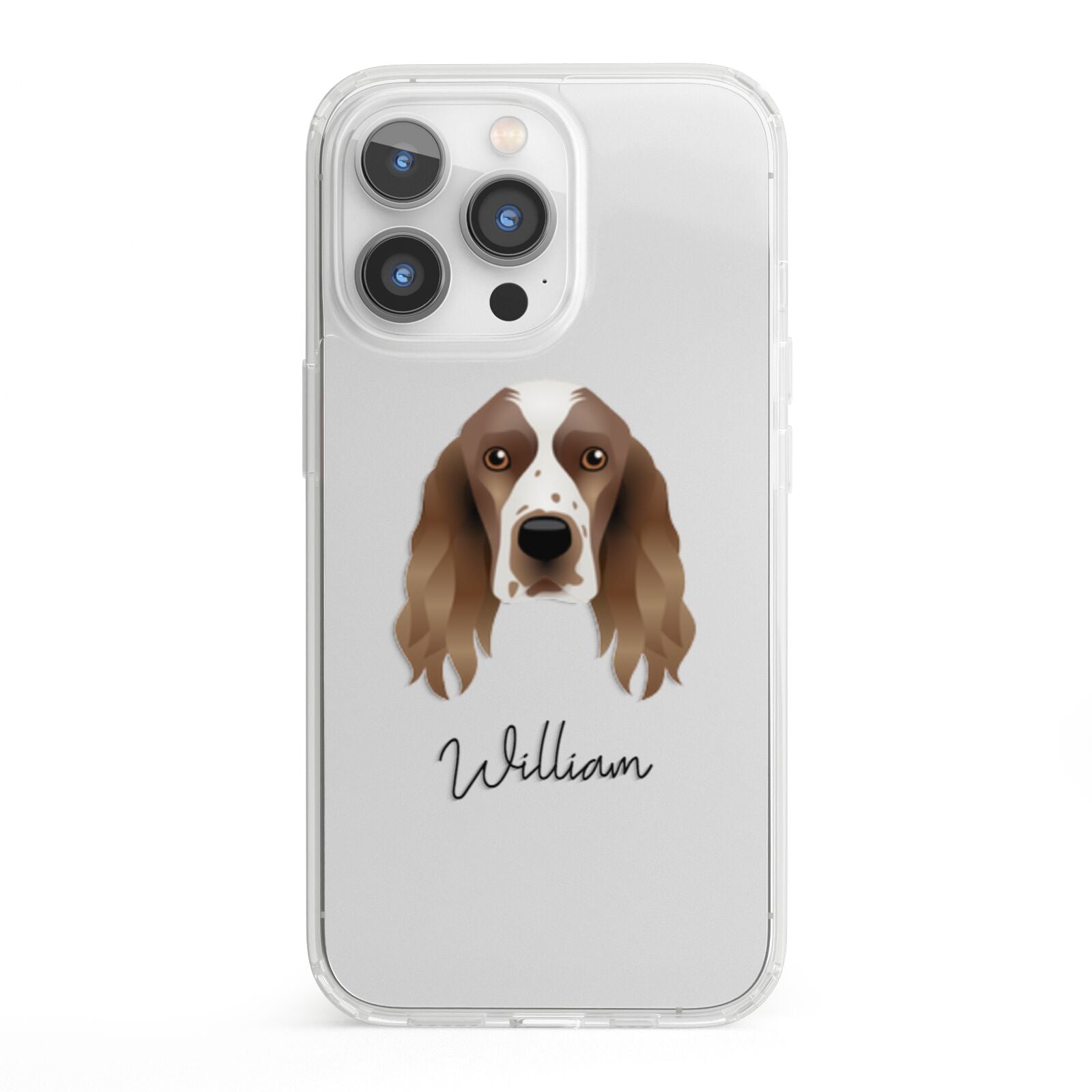 Welsh Springer Spaniel Personalised iPhone 13 Pro Clear Bumper Case