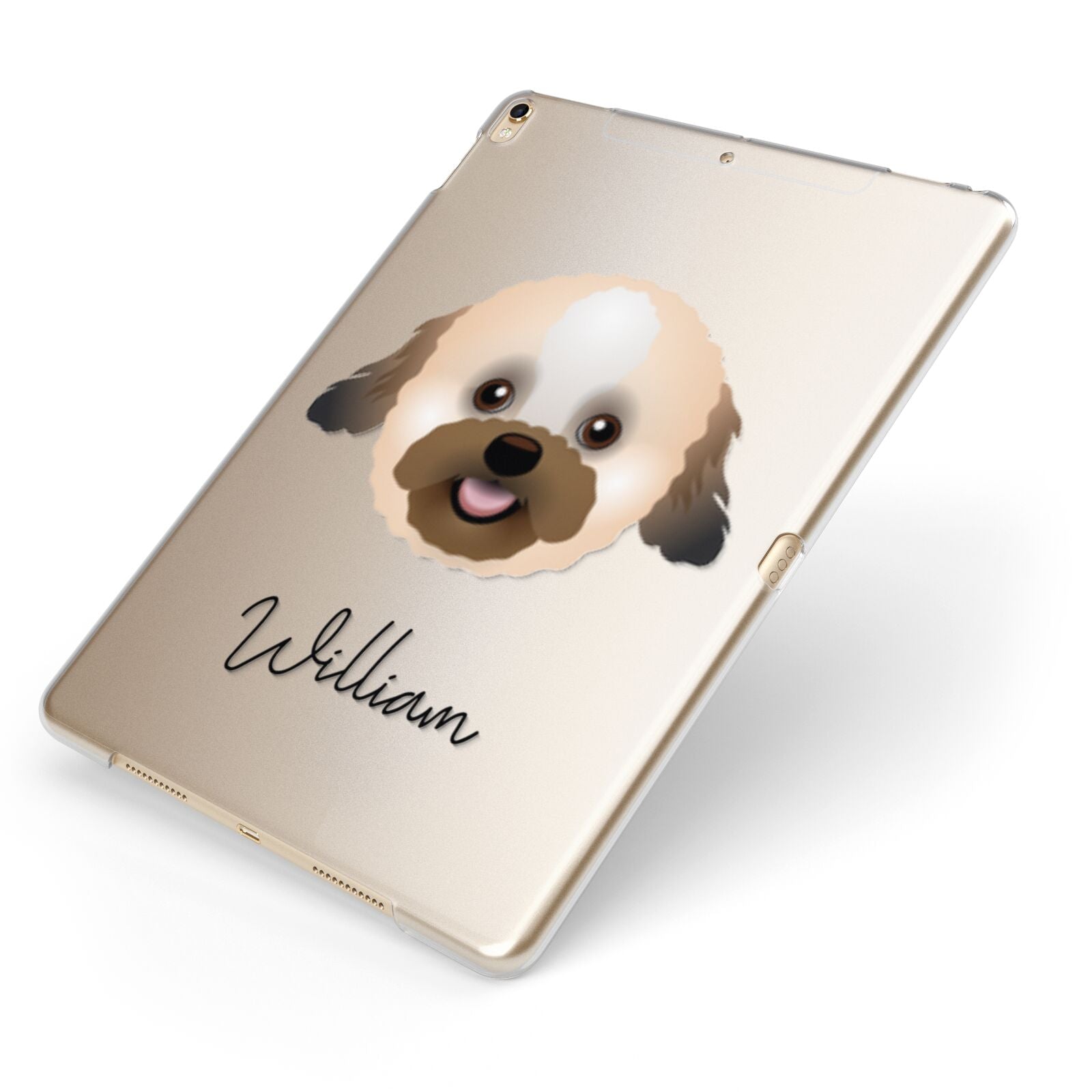 Zuchon Personalised Apple iPad Case on Gold iPad Side View